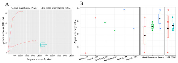 Rarefaction curve (A) and Shannon index (B) of microbial and ultramicrobial communities detected in fermented cabbages.
