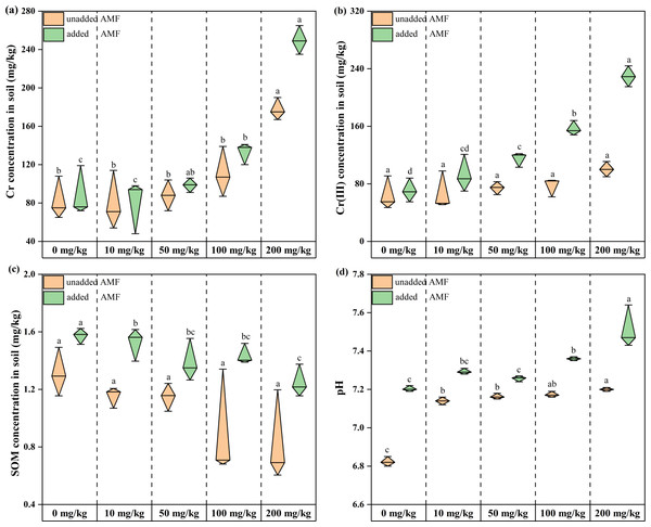 The changes of environmental factors in the rhizosphere soils of Acorus calamus.