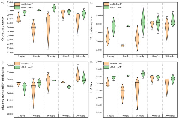 The functional analysis map of fungal community.