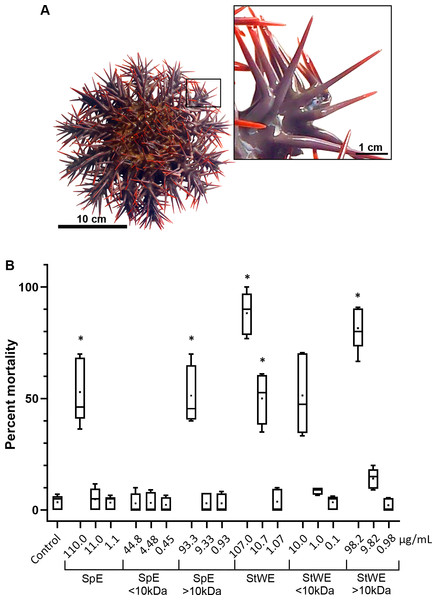 Toxicity activity of crown-of-thorns starfish (COTS) venom extracts based on a brine shrimp (Artemia salina) lethality bioassay.