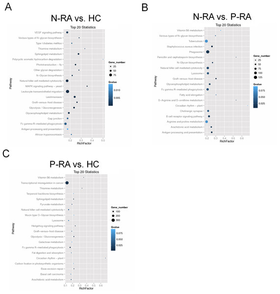 KEGG pathway enrichment analysis for target genes of miRNAs with differently levels.