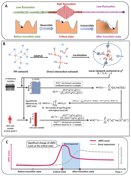 The schematic of the sMFE method for detecting the critical state of complex diseases.