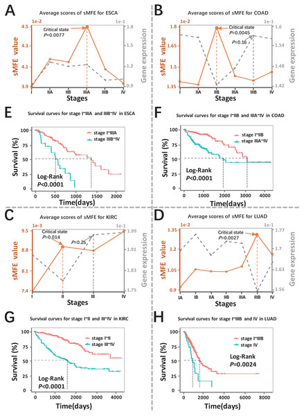 Detection of the critical states for the four cancers.