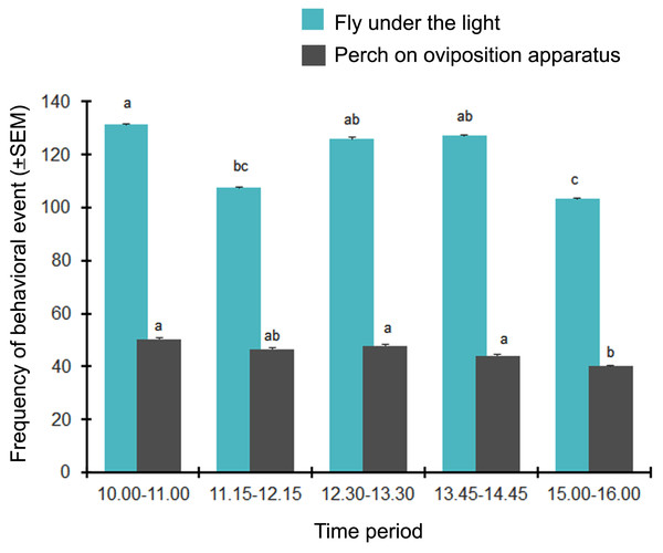 The temporal activity (times/5 min) of BSF adults displaying different behaviors.