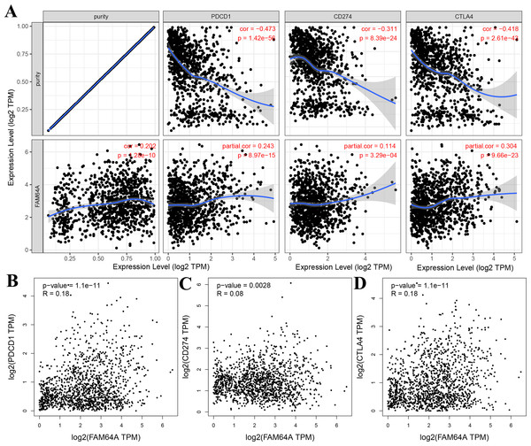 Correlation of PIMREG expression with PDCD1, CD274, and CTLA-4 expression in breast cancer (sample size = 1109, dots represent gene expression , blue lines represent linear association and dark grey areas represent the 95% confidence intervals).