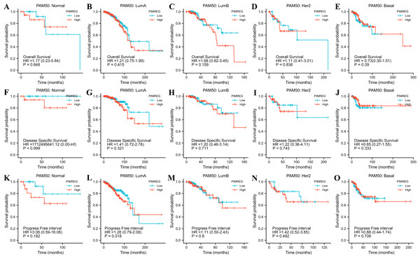 The outcomes of breast cancer in high PIMREG expression and low PIMREG expression groups based on PAM50 subtypes (sample size = 1109 from TCGA database).