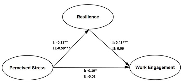 Age differences for the mediation of resilience on the relationship between perceived stress and work engagement.