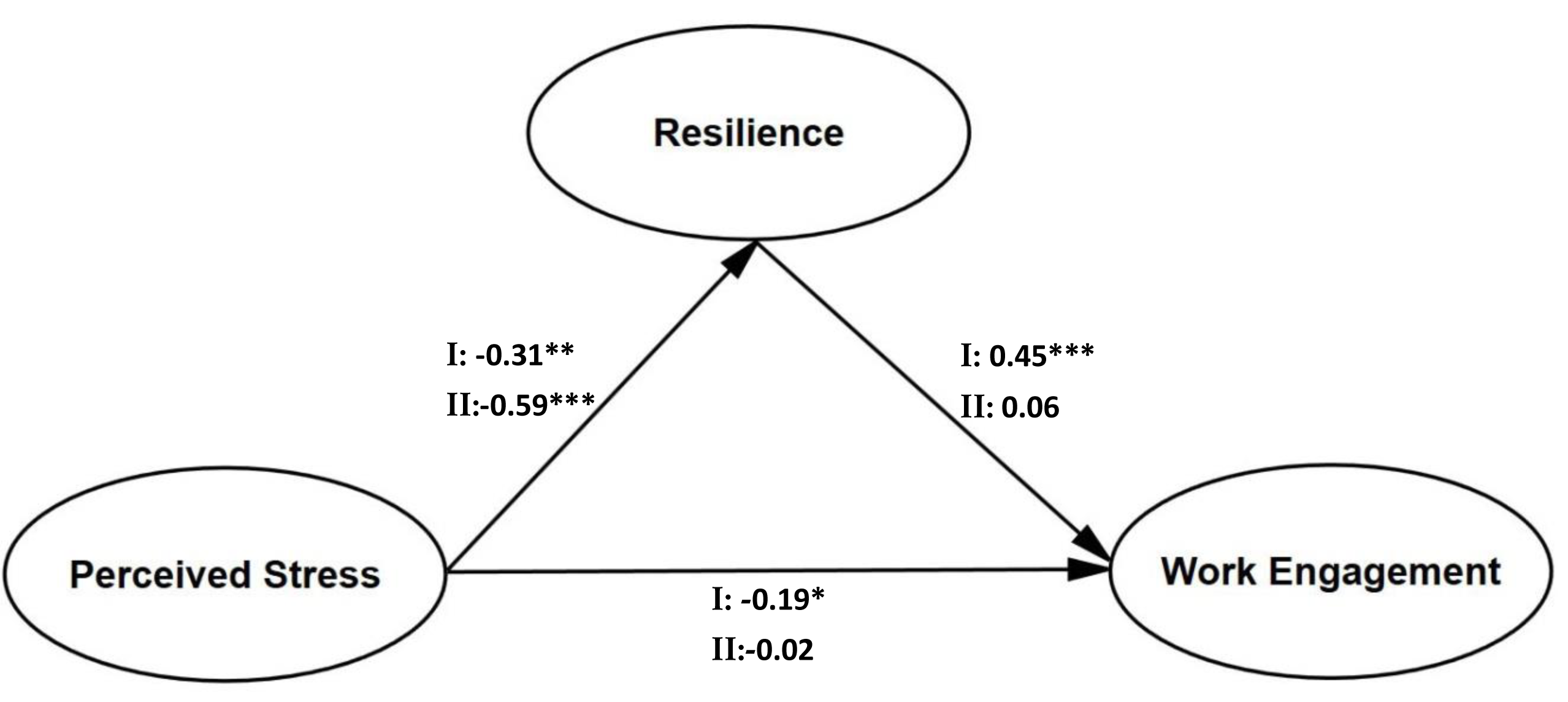 The effect of perceived stress for work engagement in volunteers