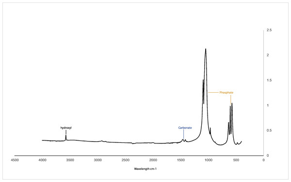 FTIR spectra for the CHDA sintered at 750 °C.
