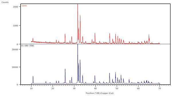 X-ray diffraction patterns of CDHA (red) after sintering at 750 °C and phase pure HA (blue) (JCPDS 01-080-7085).