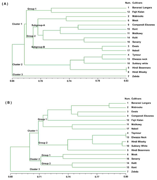 Genetic similarity dendrogram (SM coefficient) based on unweighted pair-group method using arithmetic average (UPGMA) analysis and constructed of SSR marker (A) and RAPD marker (B) shows the relationships among the 17 mango cultivars.