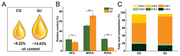 The virgin olive oil content and relative content of fatty acid difference between CG and QJ.