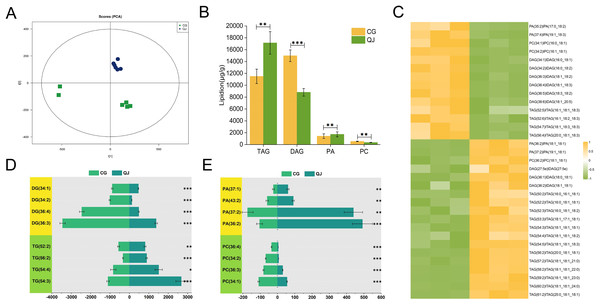 The major profiles of expression of metabolites in the CG and QJ.