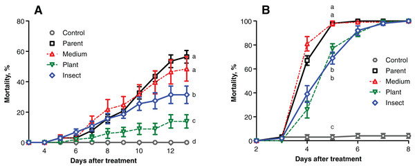 Mortality dynamics of the test insects after inoculation with Metarhizium robertsii parent strain МВ-1 and its reisolates from the SDAY medium, tomato and wax moth.