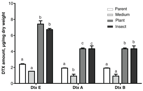 Amounts of destruxins (Dtx) in Czapek-Dox broth after eight days of cultivation of Metarhizium robertsii parent strain МВ-1 and its reisolates from the SDAY medium, tomato and wax moth.