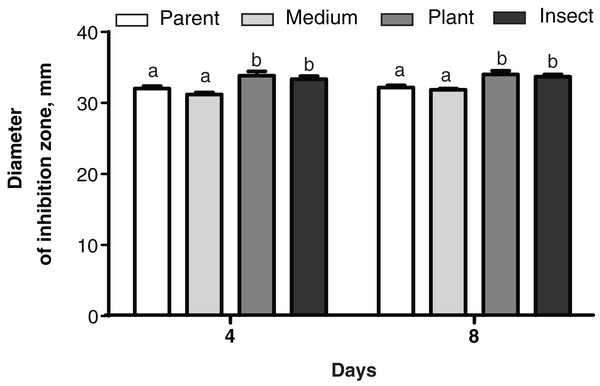 Growth inhibition of the bacterium Bacillus pumilus by Metarhizium robertsii parent strain МВ-1 and its reisolates (SDAY medium, tomato and wax moth).