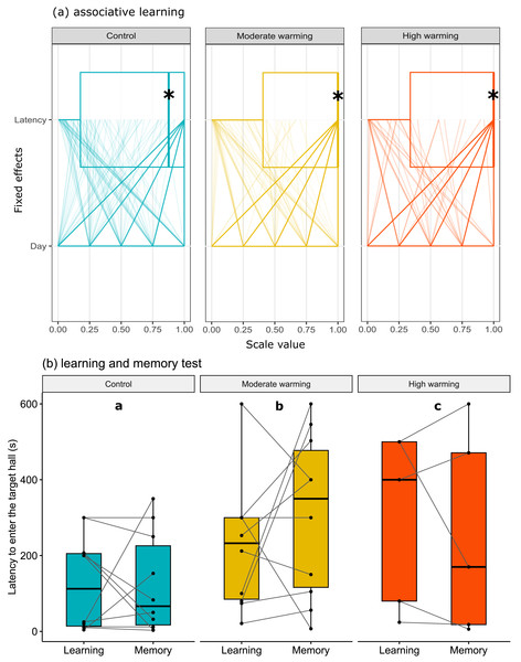 Latency to enter the target hall over the training days.