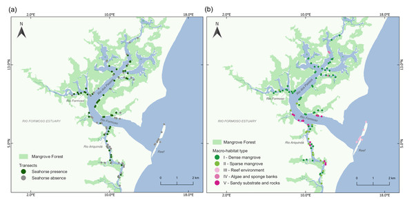 Map of the Rio Formoso Estuary (Pernambuco State, Brazil) showing (A) the presence or absence of seahorses at sampling sites, and (B) the type of macro-habitat at sampling points n each of the three rivers sampled (Rio dos Passos, Rio Formoso, and Rio Ariquindá), and on the reef (mouth of the estuary).