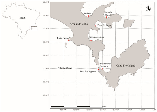 Map of Arraial do Cabo (Rio de Janeiro, Brazil) indicating the sampling sites (red): Fenda de Nossa Senhora (FNS), Prainha (P), Praia do Forno (PF), Saco do Cherne - rocky shore (SCC), Saco do Cherne - articuliths bed (SCB), Praia dos Anjos, Saco dos ingleses (SI) and Praia Grande (PG).