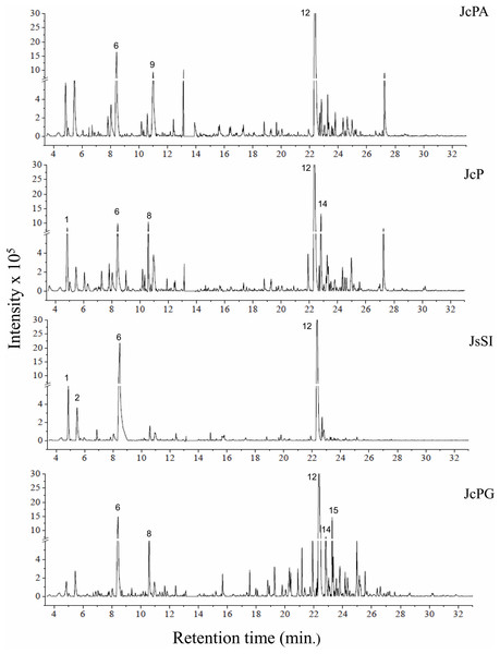 Chromatograms of GCA extracts obtained by GC-MS.