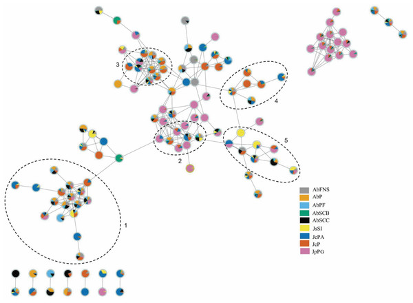 Molecular network obtained on the GNPS platform from extracts of GCA.