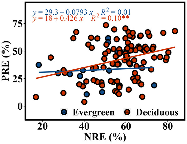 Correlated relationship between NRE and PRE of evergreen and deciduous trees.