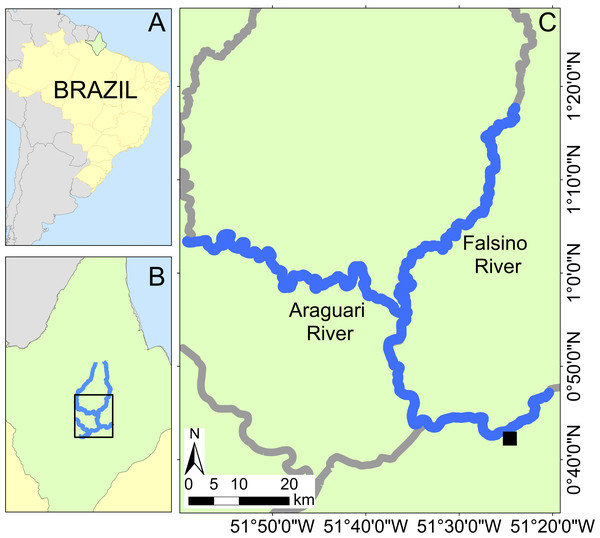 Study area location with insets showing Brazil (A) and Amapá state (B). Location of the Araguari and Falsino rivers (C) showing surveyed rivers (blue lines) and the nearest town (Porto Grande, black square).