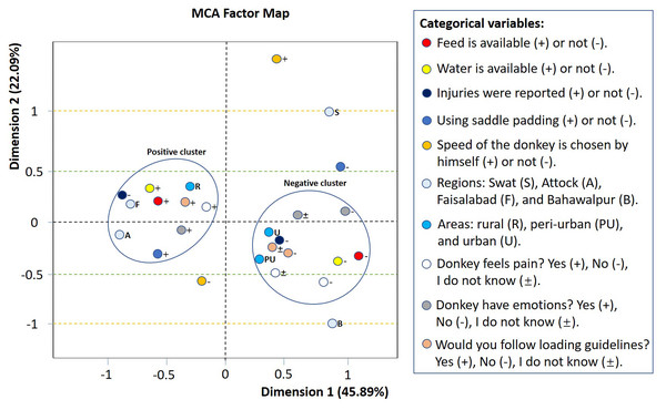 Multiple correspondence analysis (MCA) factor map with respect to categorical variables.