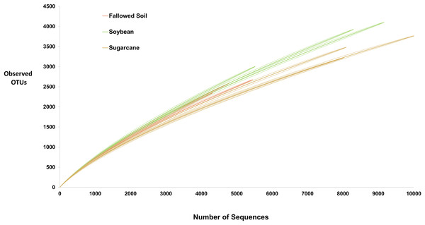 Rarefaction curves (solid lines) with 95% CI (dash lines) of the observed OTUs at 97% similarity for each treatment replicate.