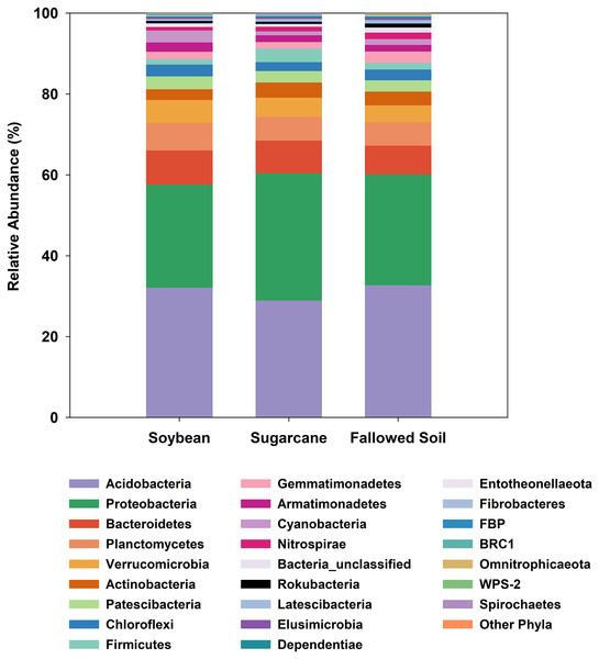 Relative abundances of bacterial phylotypes sequenced from DNA extracted from soybean and sugarcane rhizospheres, and fallowed soil.