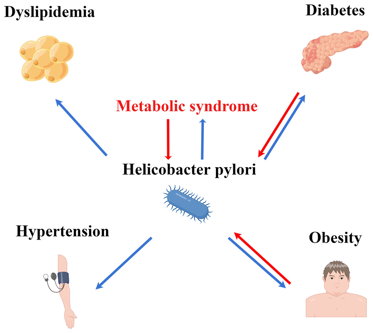 Recent research progress on the correlation between metabolic syndrome ...