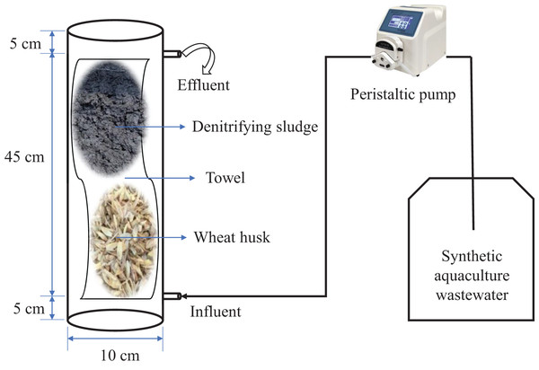 Schematic diagram of the denitrification system.