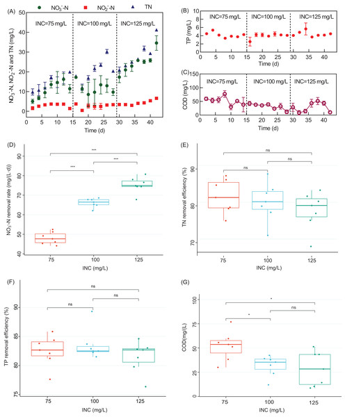 Performance of the WH-DR for removal of nitrogen and phosphorus pollutants under different INCs.