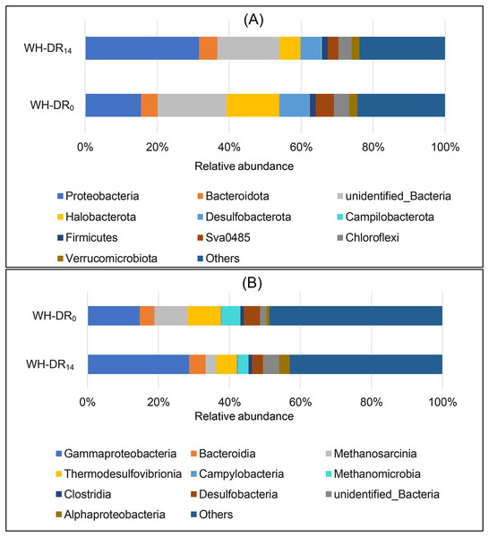 Relative bacteria abundance of WH-DR0 and WH-DR14 at phylum (A) and class (B) levels.