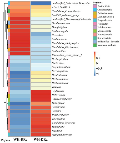 Heatmap of species abundance clustering of WH-DR0 and WH-DR14 based on genus level.