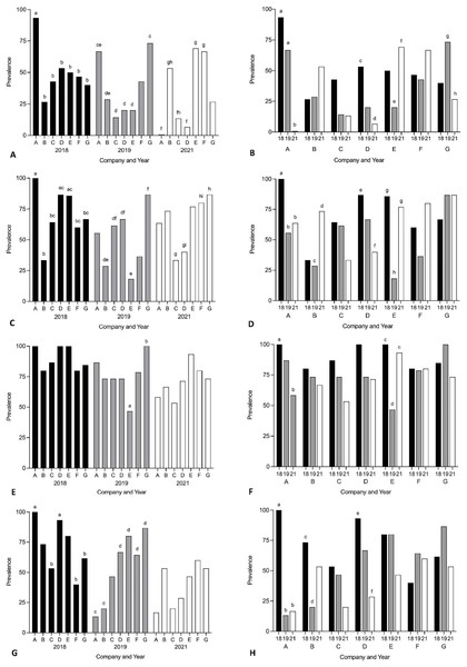 Prevalence of Cardicola spp. infection in SBT from Company A–G PZQ treated pontoons in July 2018, 2019 and 2021 (n = 12–15 for each company).