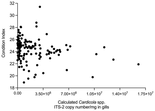 Correlation between SBT Condition Index and intensity of calculated Cardicola forsteri and C. orientalis ITS-2 copy number/mg in SBT gills (Spearman’s r = −0.2426, d.f. = 138, p = 0.0041).