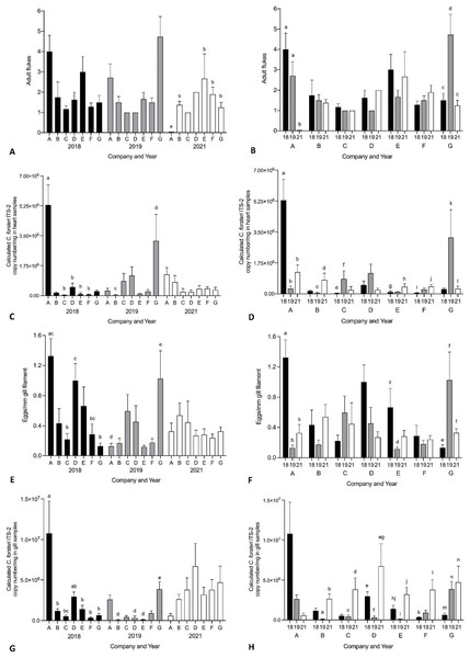 Mean intensity of Cardicola spp. infection in SBT from Company A–G PZQ treated pontoons in July 2018, 2019 and 2021 (n = 12–15 for each company).