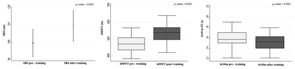 SBJ, 6MWT, and 4 × 10 values pre- and after the online training.