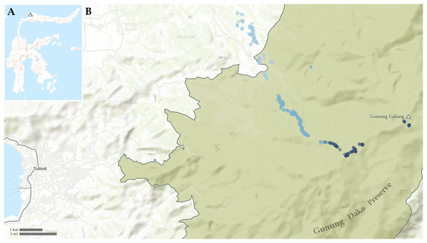 Maps showing (A) location of Gunung Galang on Sulawesi and (B) detail of Tolitoli and the Western Gunung Dako Preserve with sampling points indicated.