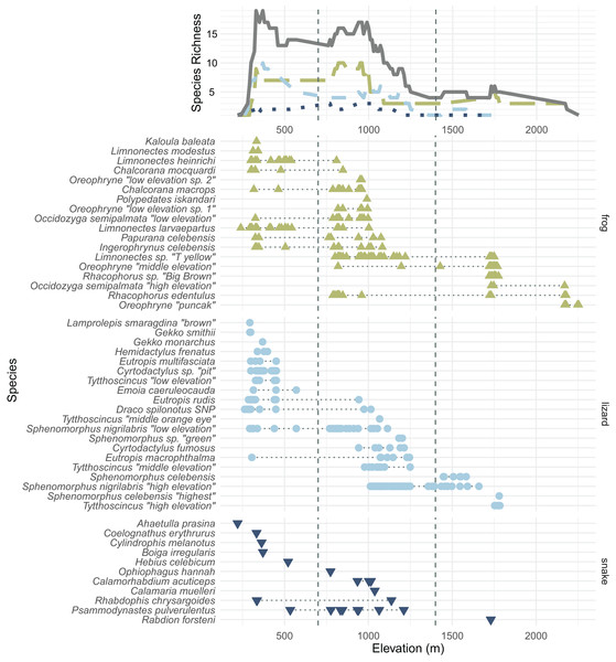 All frog (green; upright triangles), lizard (light blue; circles), and snake (dark blue; inverted triangles) species and specimens found on Gunung Dako, arranged by maximum elevation.