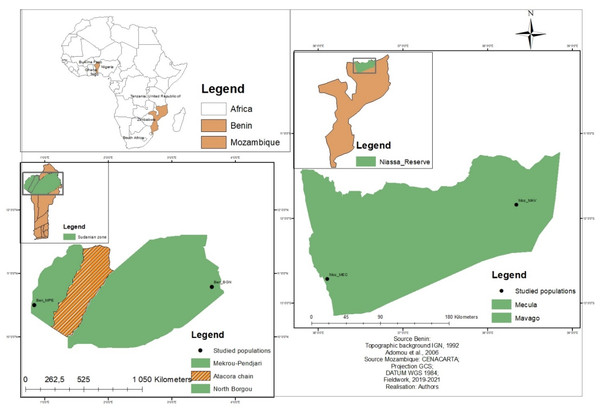 Location of the studied populations in Benin and Mozambique.