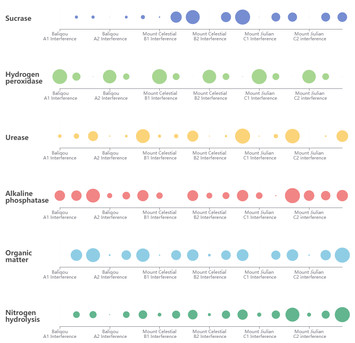 An investigation into the response of the soil ecological environment