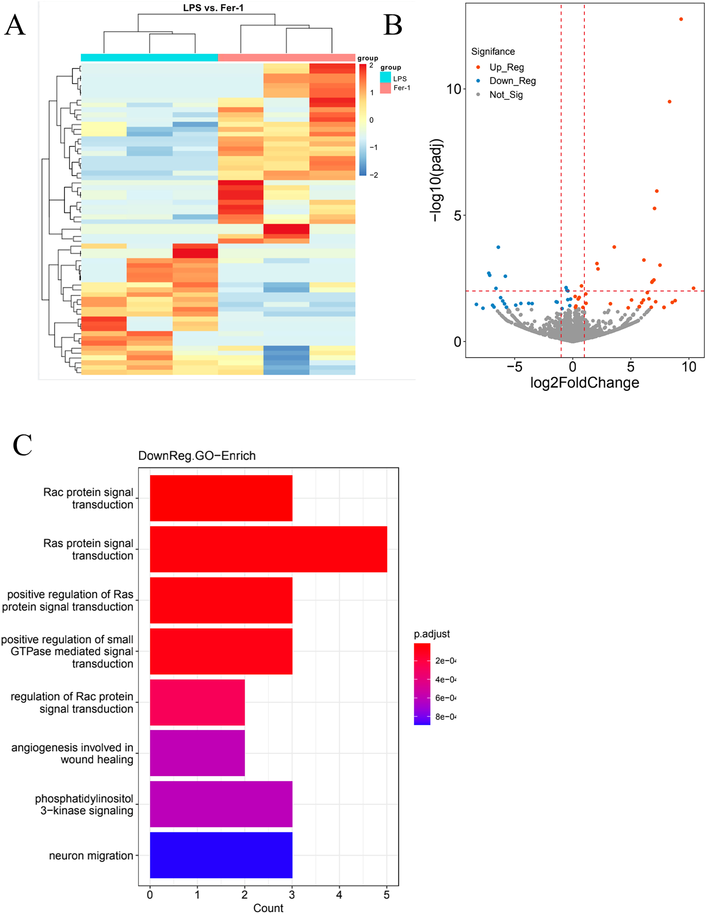 Ferrostatin-1 post-treatment attenuates acute kidney injury in