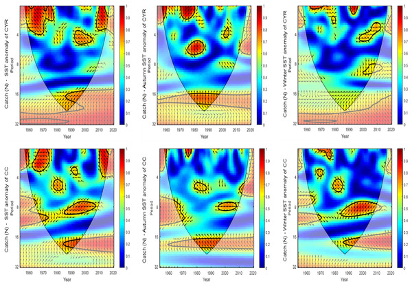 Catch variability with time and SST anomaly variation using wavelet analysis.