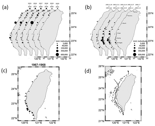 Grey mullet catch distribution in coastal waters of Taiwan.