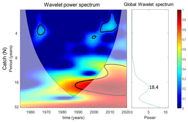 Wavelet analysis results for catch variability over time.