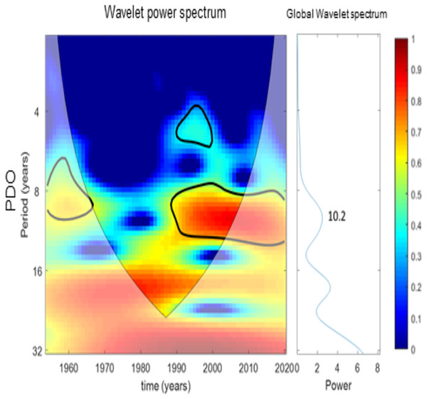Wavelet analysis results for PDO variability over time.