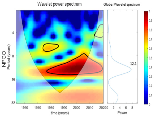 Wavelet analysis results for NPGO variability over time.