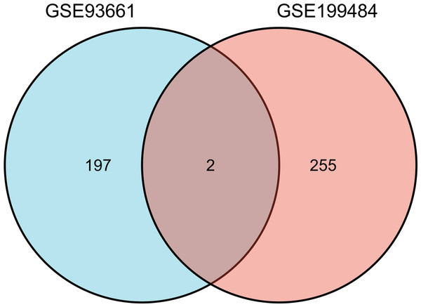 The Venn diagram shows the intersection of GSE199484 and GSE93661, with two common genes being S100A1 and RASSF8.